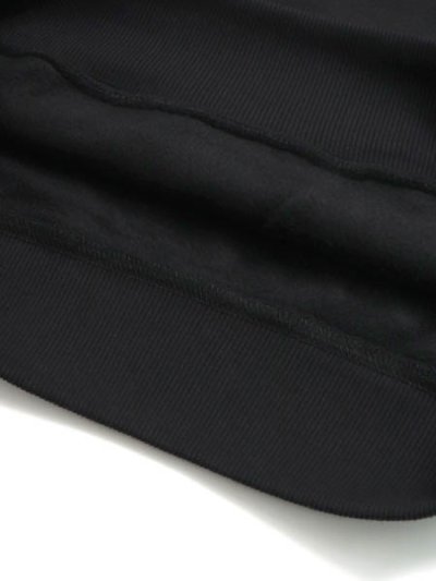 画像6: STREET WEAR SUPPLY FLX THE CAT LOS ANGELES STADIUM HOODIE