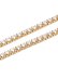 画像4: ADVANCE CHAIN 50cm (4)