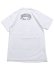 画像2: STREET WEAR SUPPLY LEGENDS NEVER DIE PALM TREE TEE (2)