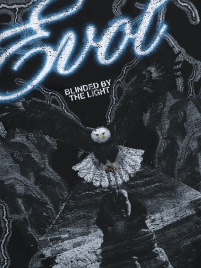 画像3: 【送料無料】EVOL BY FUTURE BLINDED BY THE LIGHT TEE
