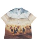 DICKIES RUNNING WILD S/S SHIRT