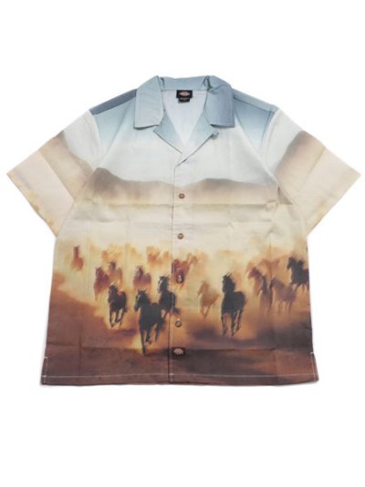 画像1: DICKIES RUNNING WILD S/S SHIRT