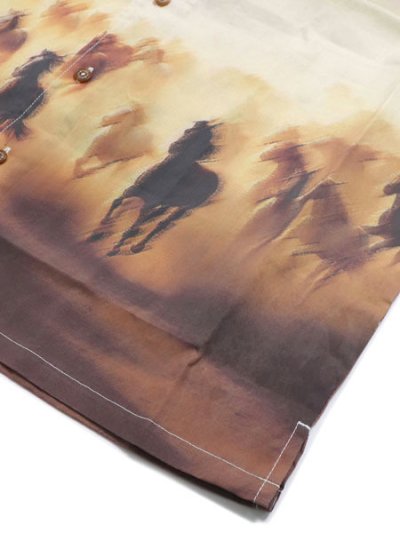 画像5: 【SALE】DICKIES RUNNING WILD S/S SHIRT