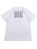 画像2: STREET WEAR SUPPLY BIG PORTRAIT TEE (2)
