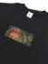 画像3: ACAPULCO GOLD GRADATION LOGO TEE (3)