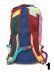 画像4: 【送料無料】COTOPAXI BATAC 16L BACKPACK DEL DIA