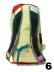 画像14: 【送料無料】COTOPAXI BATAC 16L BACKPACK DEL DIA