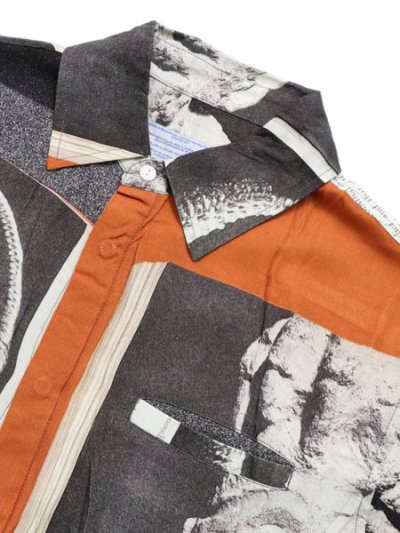 画像3: 【SALE】【送料無料】JUNGLES PREHISTORIC BUTTON UP MULTI