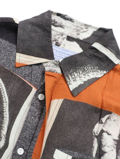 画像5: 【SALE】【送料無料】JUNGLES PREHISTORIC BUTTON UP MULTI