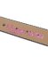 画像7: 【送料無料】B.B.SIMON X EVOL by FUTURE LEATHER BELT