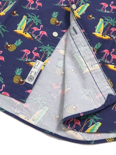 画像4: 【MEGA SALE】POLO RALPH LAUREN CLASSIC FIT FLAMINGOS OXFORD BD SHIRT