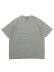 画像1: EXPANSION THE CREATION OF ADAM TEE LT GRAY (1)