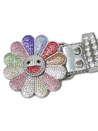 画像2: 【送料無料】STOLEN ARTS SILVER KAMI BELT