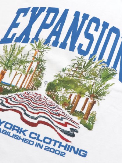 画像3: EXPANSION EXP TROPICAL USA TEE WHITE