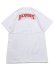 画像2: STREET WEAR SUPPLY BACKWOODS SNP TEE (2)