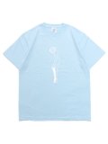 WHIMSY SOCKS CATHIE TEE LIGHT BLUE