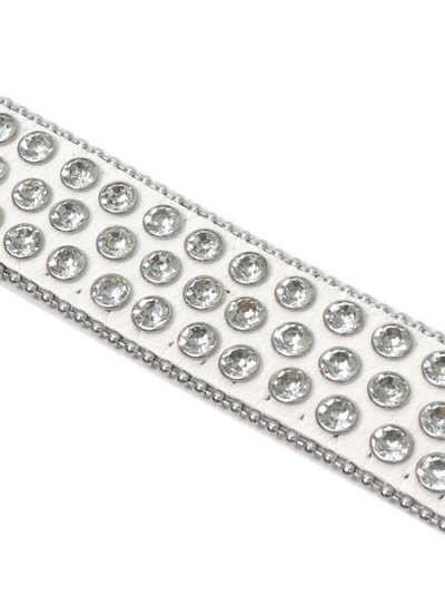 画像3: 【送料無料】STOLEN ARTS KITTY BELT