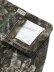 画像4: 【送料無料】HUF REALTREE CROMER PANT