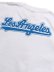 画像4: STREET WEAR SUPPLY LA JKR TEE (4)