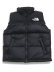 画像1: 【送料無料】THE NORTH FACE NUPTSE VEST (1)