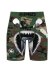 画像1: PSD WF BOMBER BOXER BRIEF GREEN/BROWN (1)