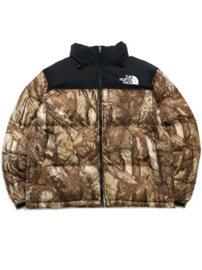 画像1: 【送料無料】THE NORTH FACE NOVELTY NUPTSE JACKET
