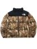 画像1: 【送料無料】THE NORTH FACE NOVELTY NUPTSE JACKET (1)