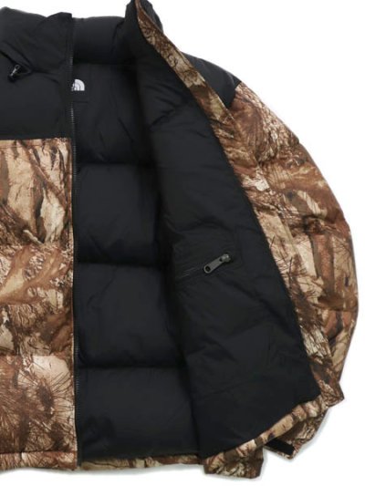 画像5: 【送料無料】THE NORTH FACE NOVELTY NUPTSE JACKET