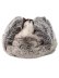 画像6: 【送料無料】KANGOL MULTI FAUX FUR TRAPPER (6)