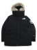 画像1: 【送料無料】THE NORTH FACE ANTARCTICA PARKA (1)