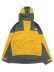 画像2: 【送料無料】THE NORTH FACE WINTER DANCE JACKET (2)