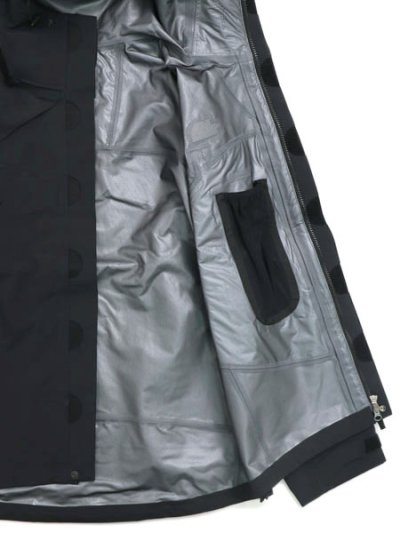 画像7: 【送料無料】THE NORTH FACE WINTER DANCE JACKET