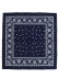 画像2: POST OʼALLS DIA POST BANDANA HANKIE-DIA NAVY (2)