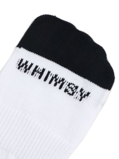 画像4: WHIMSY SOCKS V EMJAY SOCKS WHITE