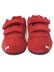 画像3: 【KIDS】PUMA SPEEDCAT OG V PS FOR ALL TIME RED/PUMA WHITE (3)