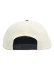 画像4: NEW ERA RC 9FIFTY FLAT VISOR GORO GIANTS CHROME/BLACK (4)
