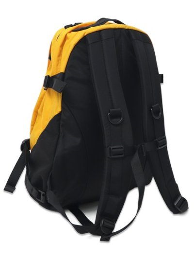 画像4: 【送料無料】THE NORTH FACE KINKAJOU