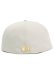 画像5: NEW ERA 59FIFTY CACTUS & GRAPE FRUIT YANKEES STONE (5)