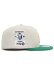 画像4: NEW ERA 59FIFTY CACTUS & GRAPE FRUIT YANKEES STONE (4)