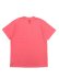 画像2: 【送料無料】BILLIONAIRE BOYS CLUB BB CURVE COLLAGE TEE ROSE OF SHARON (2)