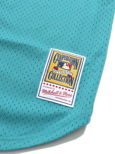 画像7: 【送料無料】MITCHELL & NESS AUTHENTIC MESH BP-A.DAWSON 95 #8 MARLINS
