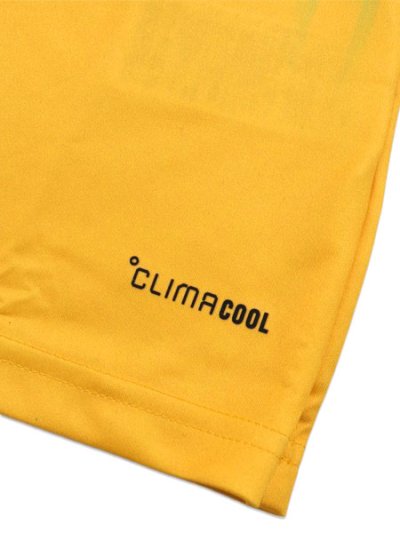 画像6: ADIDAS JAMAICA AWAY JERSEY 2026 BOB MARLEY HOME PRE MATCH-BOLD GOLD