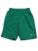 画像1: NIKE HERO STYLE 9" VOLLEY SHORT MALACHITE (1)