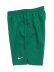 画像3: NIKE HERO STYLE 9" VOLLEY SHORT MALACHITE (3)
