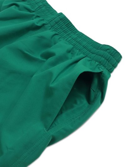 画像4: NIKE HERO STYLE 9" VOLLEY SHORT MALACHITE