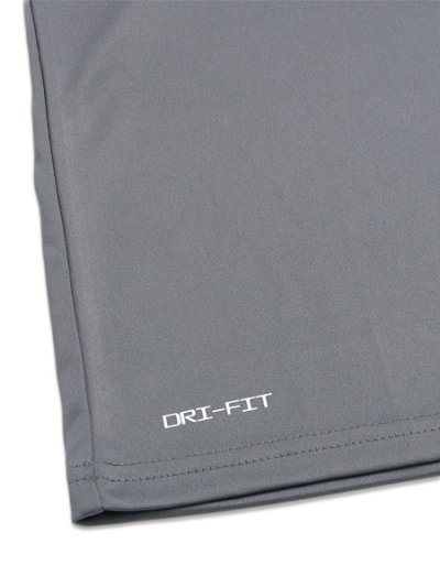 画像4: NIKE SOLID L/S HYDRO GUARD COOL GREY