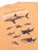 画像4: MANASTASH PUMICE TEE SHARK ORANGE (4)