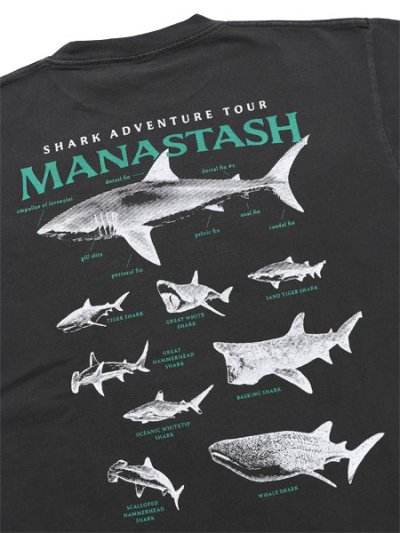 画像4: MANASTASH PUMICE TEE SHARK BLACK