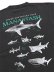 画像4: MANASTASH PUMICE TEE SHARK BLACK (4)