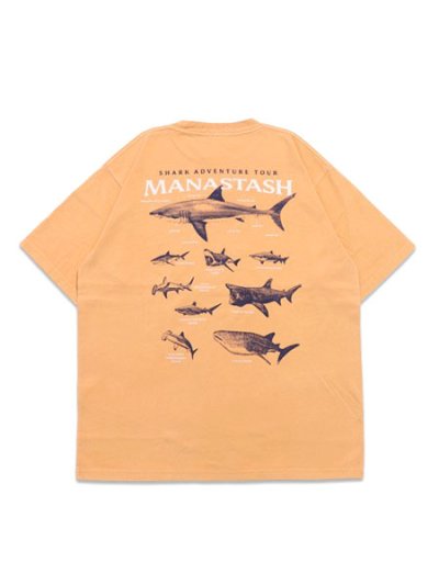 画像1: MANASTASH PUMICE TEE SHARK ORANGE